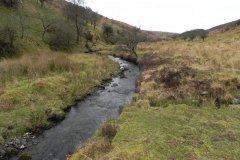 18. Flowing from Clannon Ball to Holcombe Burrows