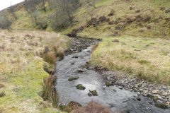 19. Flowing from Clannon Ball to Holcombe Burrows