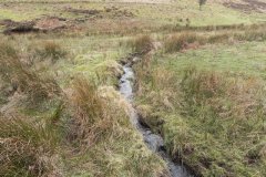 2. Flowing from Clannon Ball to Holcombe Burrows