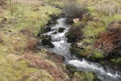 21. Flowing from Clannon Ball to Holcombe Burrows