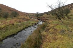 23. Flowing from Clannon Ball to Holcombe Burrows