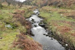 24. Flowing from Clannon Ball to Holcombe Burrows