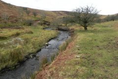28. Flowing from Clannon Ball to Holcombe Burrows
