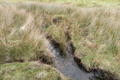 3. Flowing from Clannon Ball to Holcombe Burrows