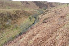 34. Flowing below Pig Hill