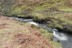 35. Flowing below Pig Hill