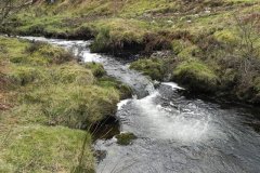 36. Flowing below Pig Hill