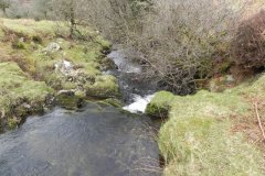 37. Flowing below Pig Hill
