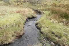 4. Flowing from Clannon Ball to Holcombe Burrows