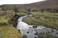 40. Flowing below Pig Hill