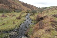 41. Flowing below Pig Hill