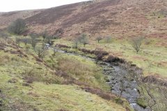 44. Flowing below Pig Hill