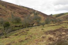 45. Flowing below Pig Hill