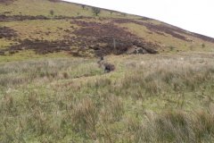 5. Flowing from Clannon Ball to Holcombe Burrows