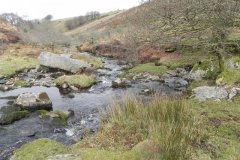 51. Flowing below Middle Hill