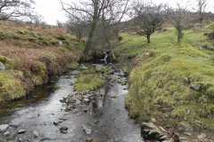 54. Waters from Middle Hill join