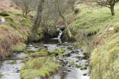 55. Waters from Middle Hill join