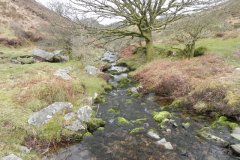 56. Waters from Middle Hill join