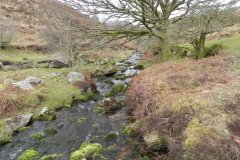 57. Waters from Middle Hill join