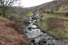 59. Waters from Middle Hill join