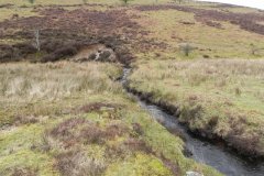 6. Flowing from Clannon Ball to Holcombe Burrows