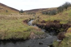 7. Flowing from Clannon Ball to Holcombe Burrows
