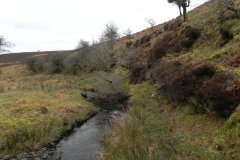 8. Flowing from Clannon Ball to Holcombe Burrows