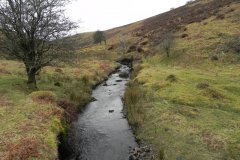 9. Flowing from Clannon Ball to Holcombe Burrows