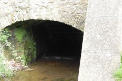 12.-Clapton-Mill-Tail-Race-Outlet