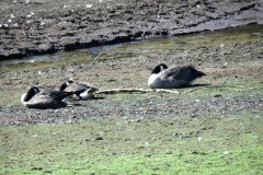 IMG_1627-2