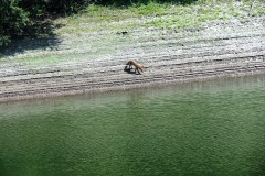 IMG_1649-2