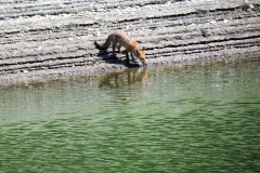 IMG_1650-2