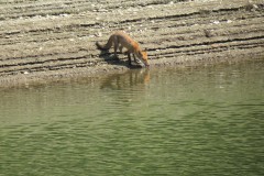 IMG_1650