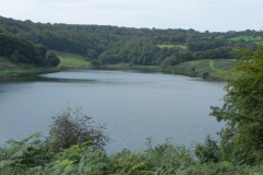 12.-Looking-south