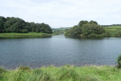 17.-Looking-north-east-from-south-west-bank