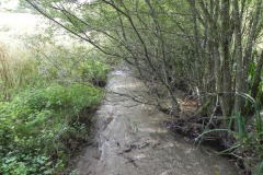 22.-Looking-downstream-from-north-east-inlet-bridge