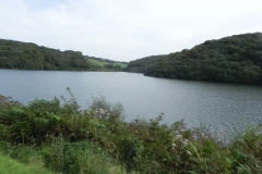 34.-Looking-north-east
