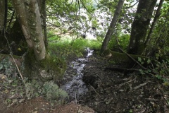 36.-West-bank-stream-joins-the-reservoir
