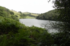42.-Looking-north-east