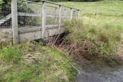 44.-River-Tone-ROW-Bridge-4966