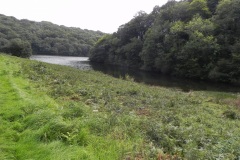 46.-River-Tone-inlet
