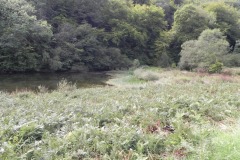 47.-River-Tone-inlet