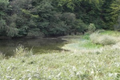48.-River-Tone-inlet