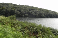 49.-Looking-to-Northern-Wood