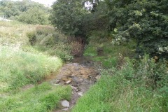 54.-Northern-inlet-stream-looking-upstream
