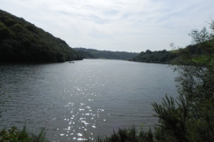 56.-Looking-south