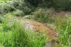 59.-Eastern-inlet-stream-looking-upstream