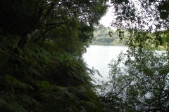 61.-View-from-Clatworthy-Wood