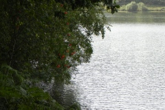 62.-View-from-Clatworthy-Wood