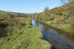 15. Downstream from Cloggs Farm